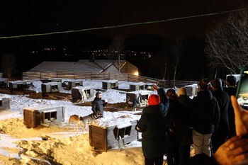 Snow ,Sky ,Freezing ,City ,Event.