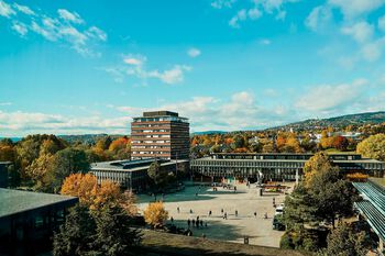 University of Oslo, view on the Frederikke square from the Integreat premises
