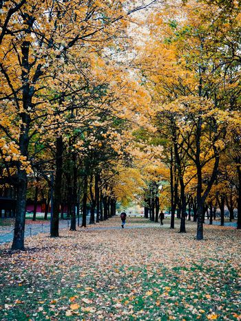 University of Oslo in autumn