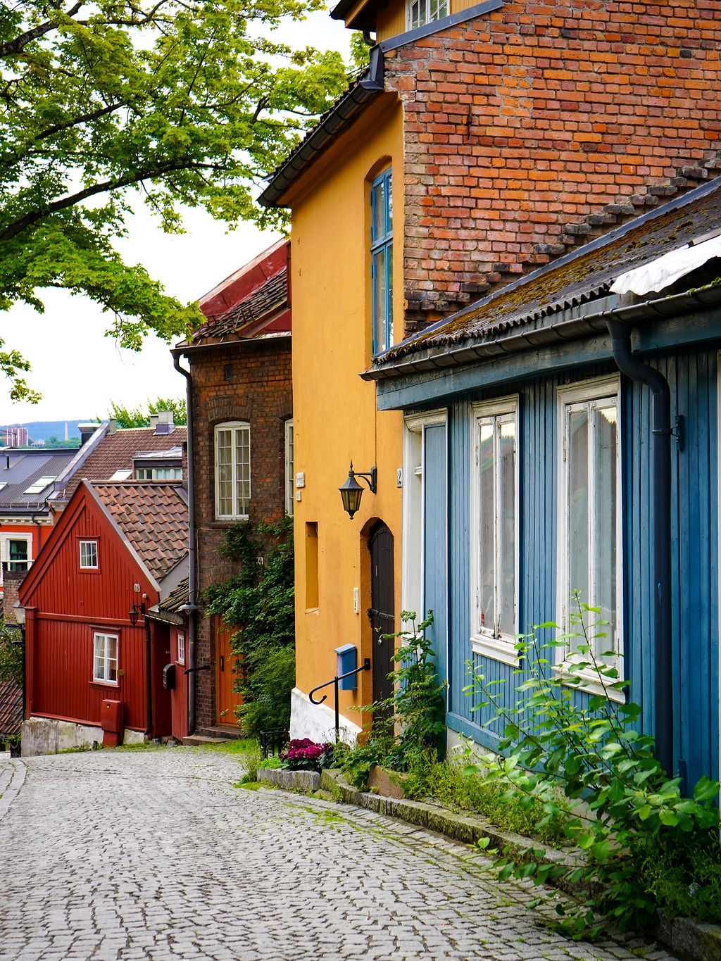 Wall ,Window ,House ,Neighbourhood ,Residential area.