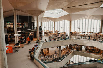 Ceiling ,Shelving ,Shelf ,Hall ,Varnish.